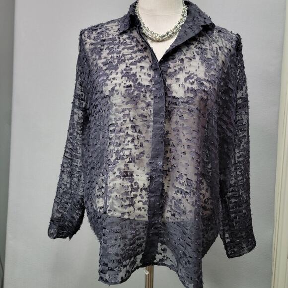 ALANI THE GRAY SHEER BLOUSE, SIZE S? - Picture 2 of 7